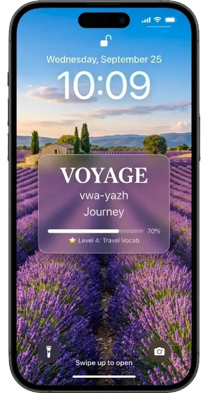 Lavender Field